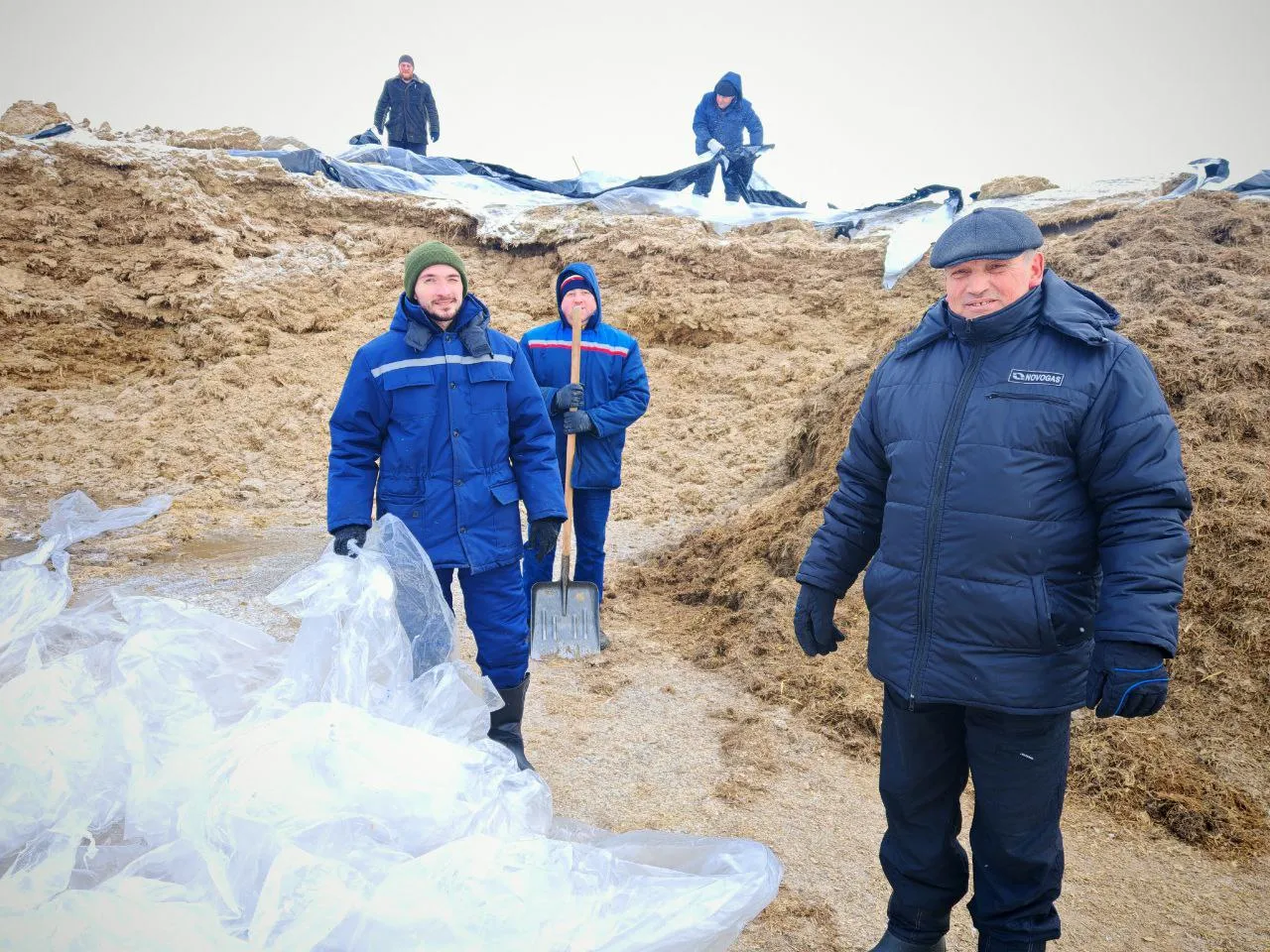 Трудовой десант Новогрудского завода газовой аппартуры продолжает оказывать помощь ОАО «Кошелево-Агро»