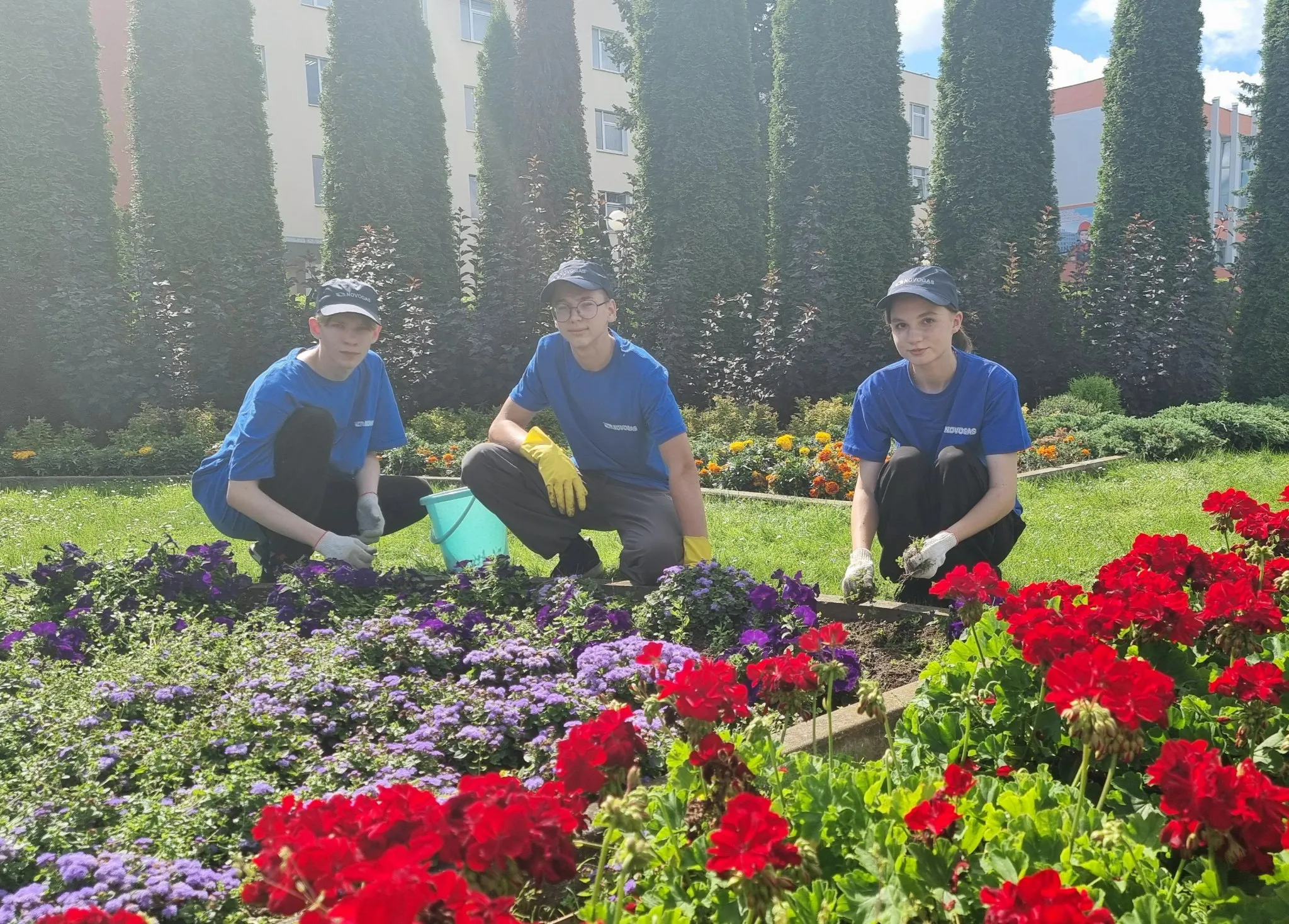 Трудовые будни ребят студотрядного движения в самом разгаре