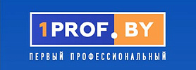 Первый профессиональный
